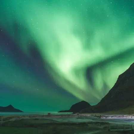 In Lofoten Storvagan