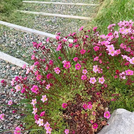 Сasa de vacaciones In Lofoten *